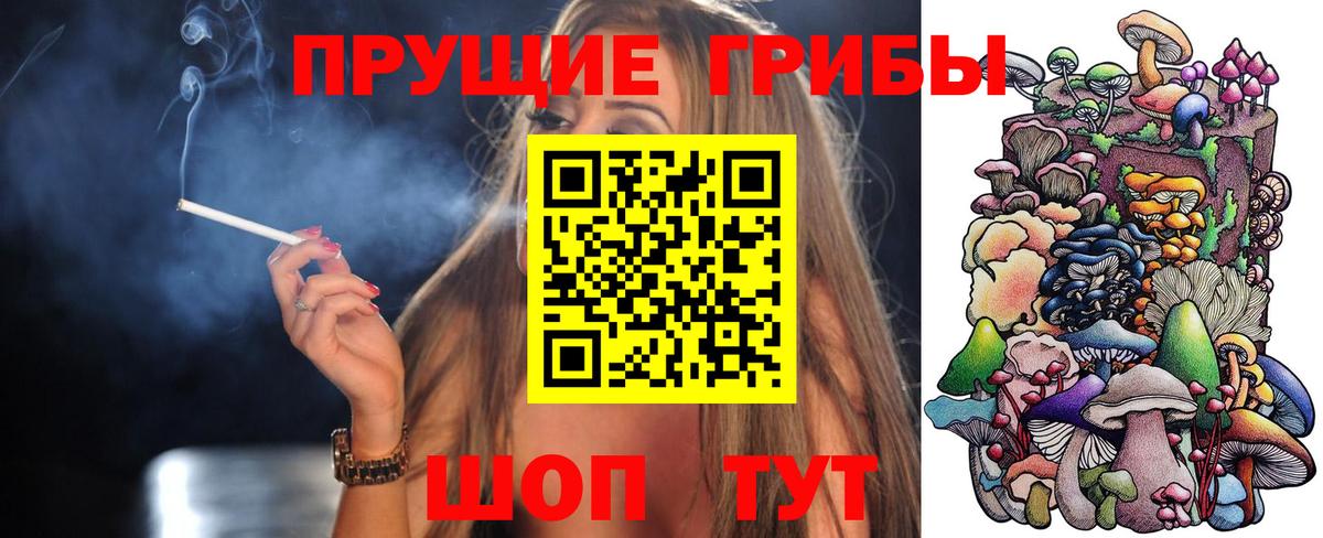 Галлюциногенные грибы Psilocybe Сургут